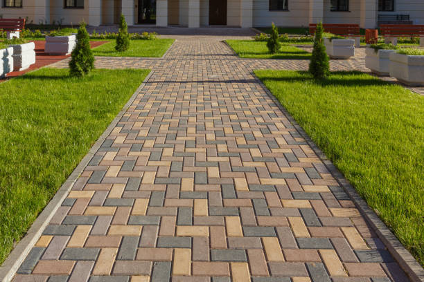 Best Driveway Paving Contractor  in Forrest City, AR